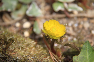 2013_03_29_7581.JPG
