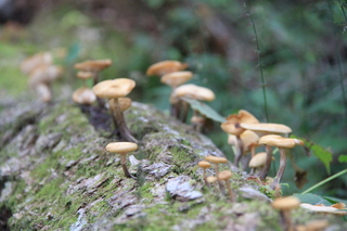 2014_09_16_9999_10.JPG