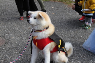 2016_10_30_9999_7.JPG