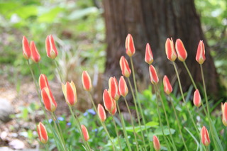 2017_05_16_9999_18.JPG