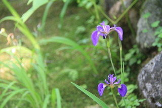 2017_06_20_1853.JPG
