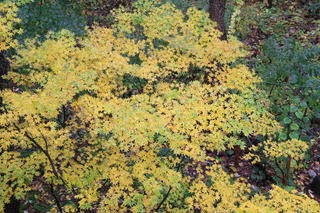 2017_10_23_2685.JPG