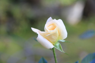 2017_10_27_2774.JPG