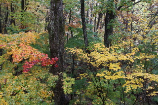 2017_10_29_2835.JPG