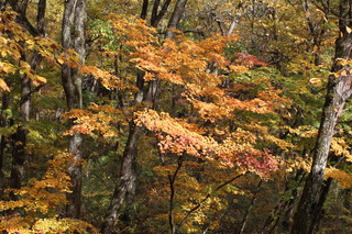 2017_10_30_2857.JPG
