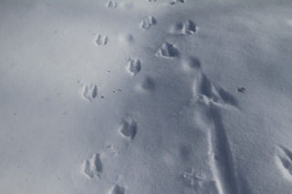 2018_02_01_3179.JPG