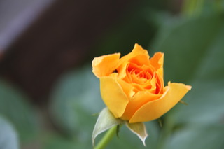 2018_08_05_5255.JPG