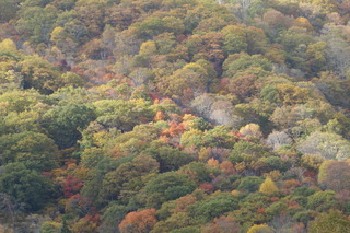 DSC00822.JPG