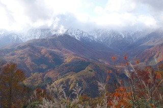 DSC00825.JPG