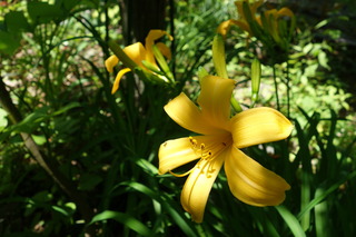 DSC01435.JPG