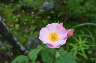 DSC01543.JPG