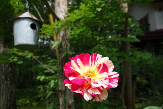 DSC01742.JPG