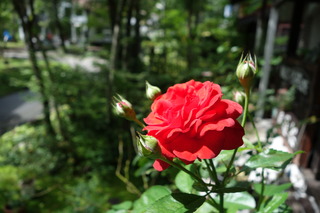 DSC01746.JPG