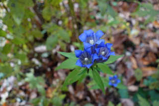 DSC02161.JPG