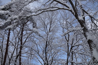 DSC02172.JPG