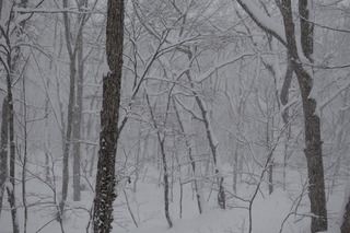 DSC02216.JPG
