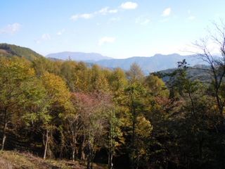 DSCN1825.jpgリサイズ.jpg