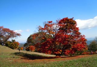 DSCN1853.jpgリサイズ.jpg