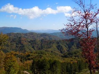 DSCN1861.jpgリサイズ.jpg