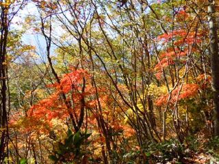 DSCN1872.jpgリサイズ.jpg