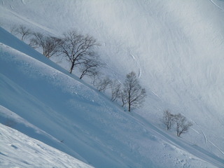 DSCN2022.JPG