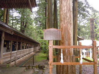 DSCN2213.JPG
