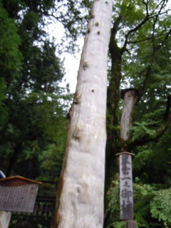 DSCN2223.JPG