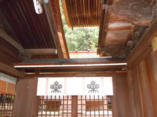 DSCN2229.JPG