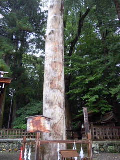 DSCN2231.JPG