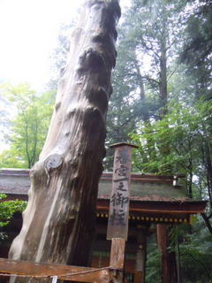 DSCN2240.JPG