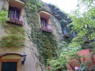 DSCN2472.JPG