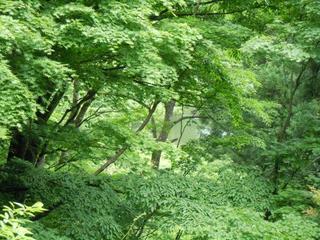 DSCN2483.jpg