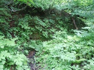 DSCN2484.jpg