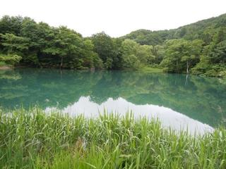 DSCN2494.jpg