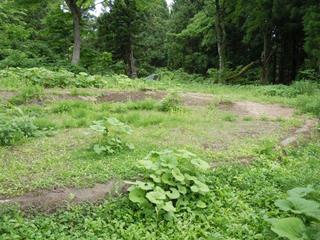 DSCN2498.jpg