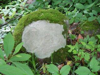 DSCN2505.jpg