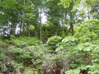 DSCN2506.jpg
