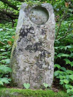 DSCN2509.jpg