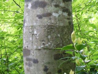 DSCN2511.jpg