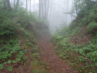 DSCN2513.jpg