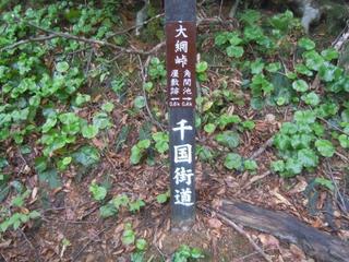 DSCN2514.jpg