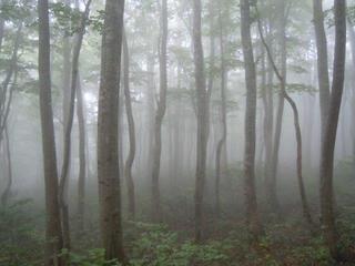 DSCN2520.jpg