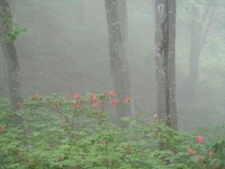 DSCN2523.jpg