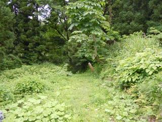 DSCN2527.jpg