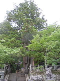 DSCN2530.JPG