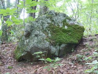DSCN2537.JPG