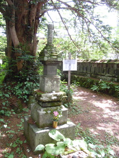 DSCN2550.JPG