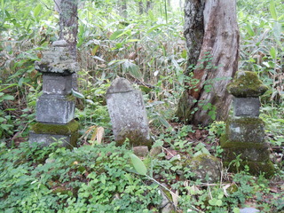 DSCN2554.JPG