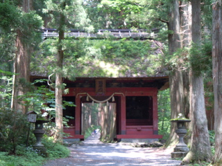DSCN2560.JPG