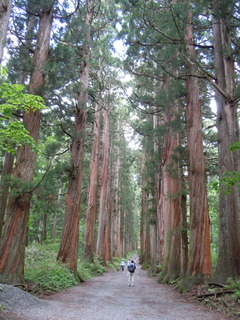 DSCN2567.JPG